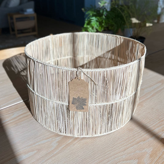 Usiacurí Organization Basket