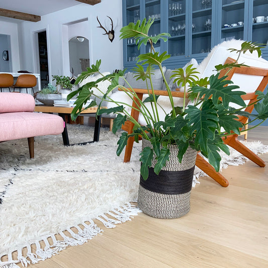 Caña Flecha Planter / Waste Basket