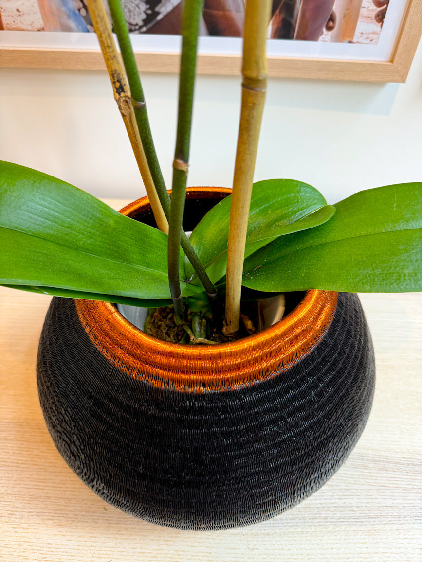 Wärkhi Big Werregue Vase