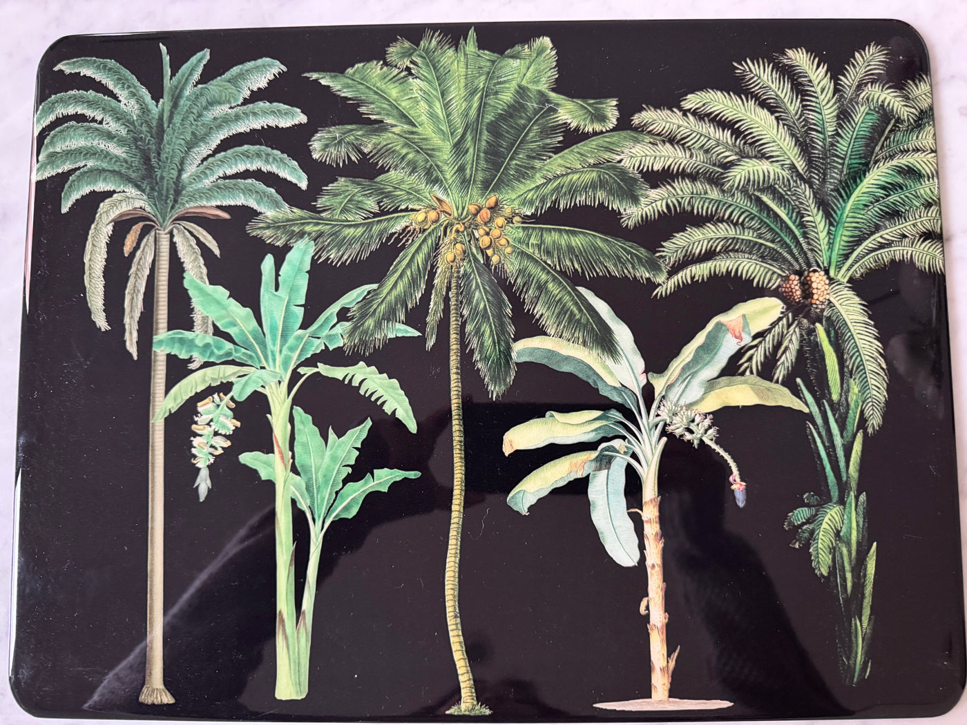 Palm Tree Print Placemat Set of 6