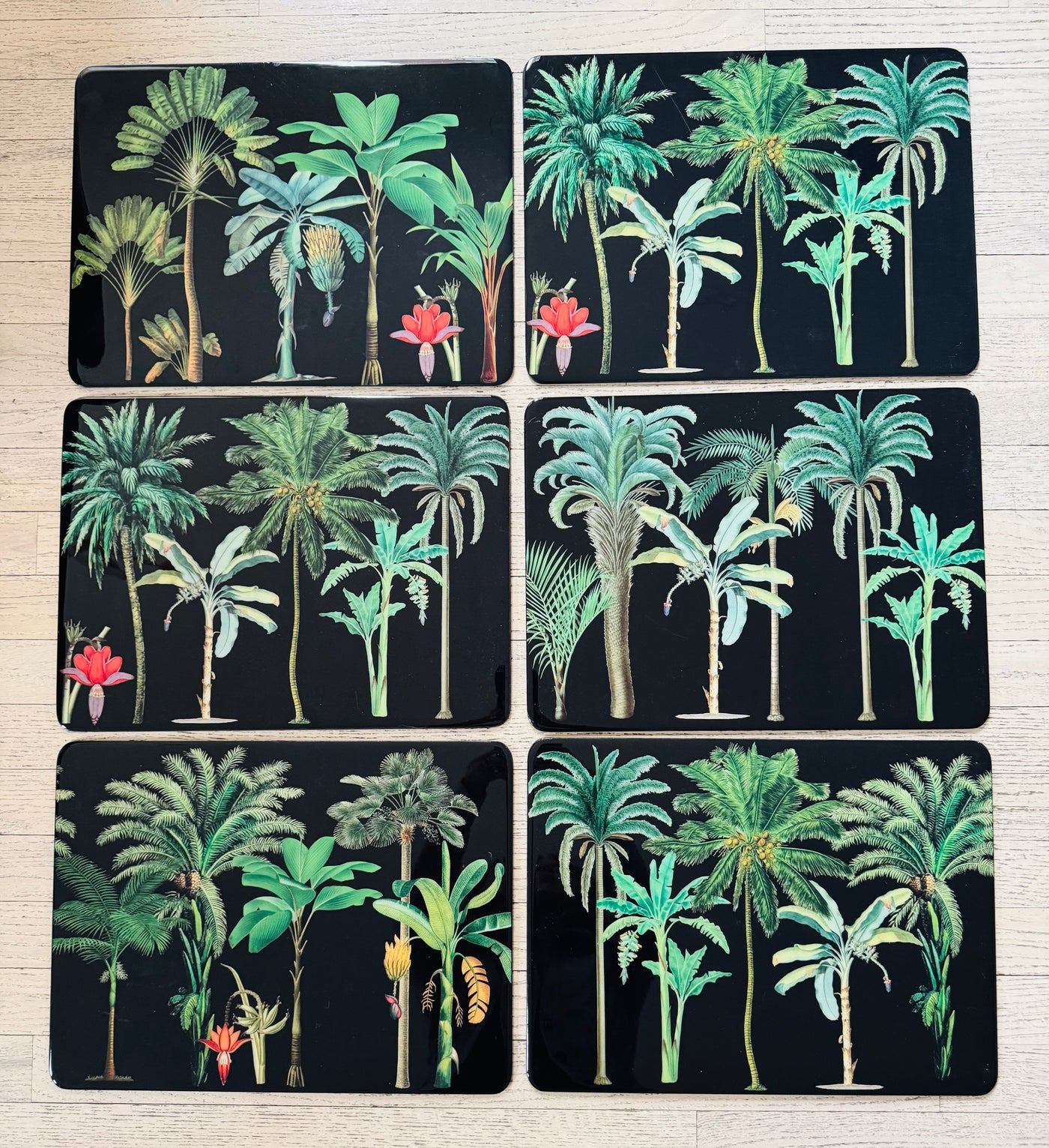 Palm Tree Print Placemat Set of 6
