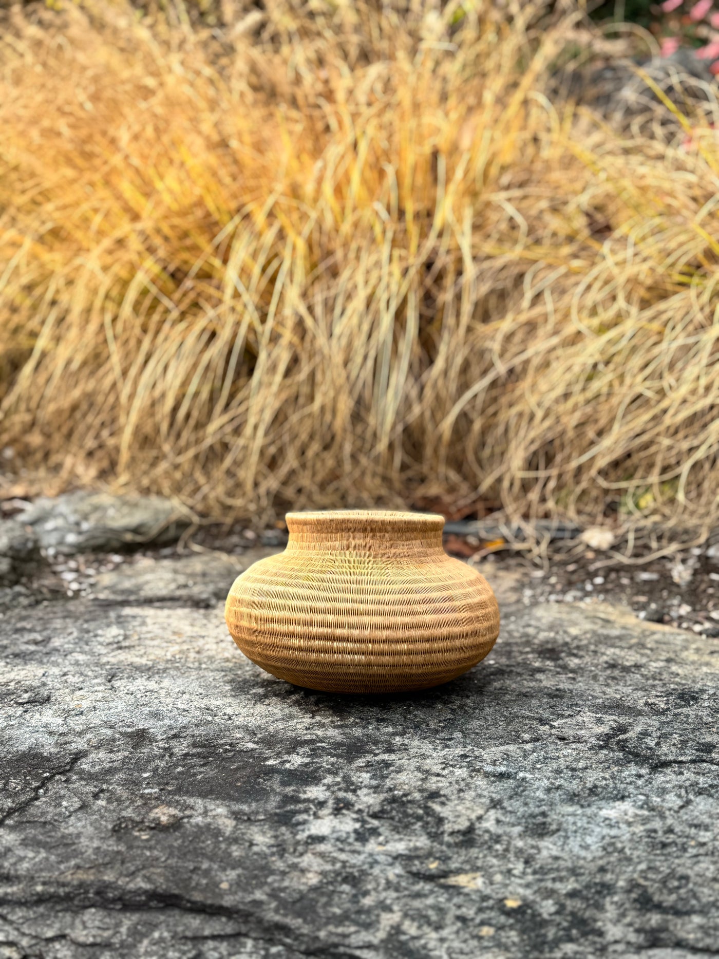 Werregue Decorative Vase Beige