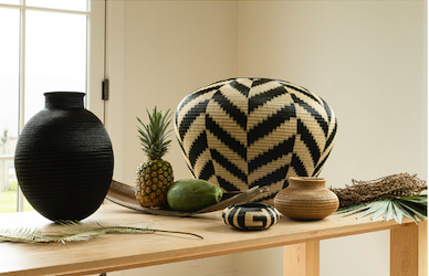 Wisdom of the Bark Vessel