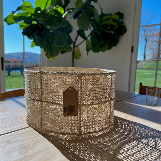 Usiacurí  Organization Basket