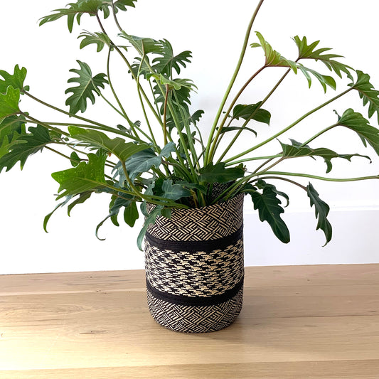 Caña Flecha Planter /  Waste Basket